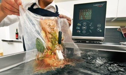 Fusion Chef Immersion Circulator by Julabo: RIP